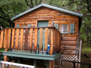Coyote Cabin with bath and kitchen